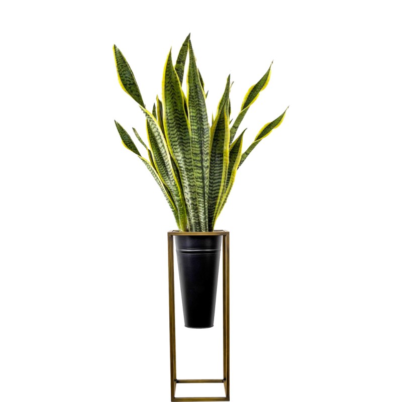 Paşa Kılıcı (Sansevieria Laurentii) Ayaklı Siyah Metal Saksılı